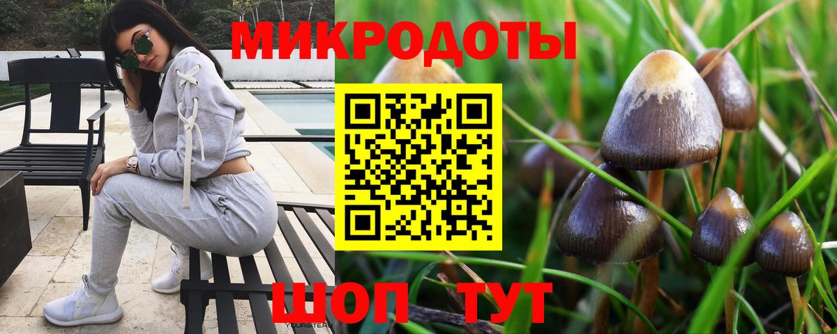Галлюциногенные грибы GOLDEN TEACHER Набережные Челны