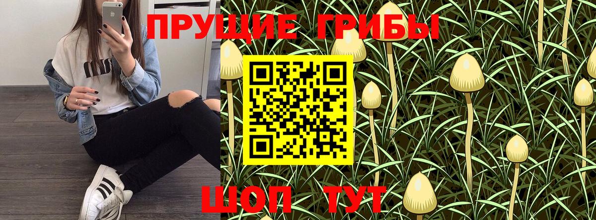 Набережные Челны  Галлюциногенные грибы Psilocybine cubensis  Вход с VPN 